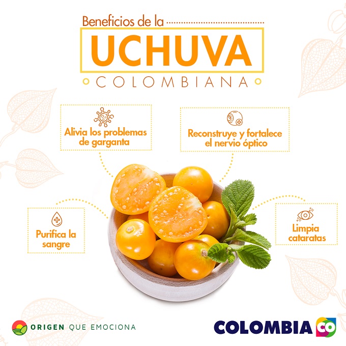 ¡Uchuva / Goldenberry nuestra Embajadora de frutas Colombianas para el