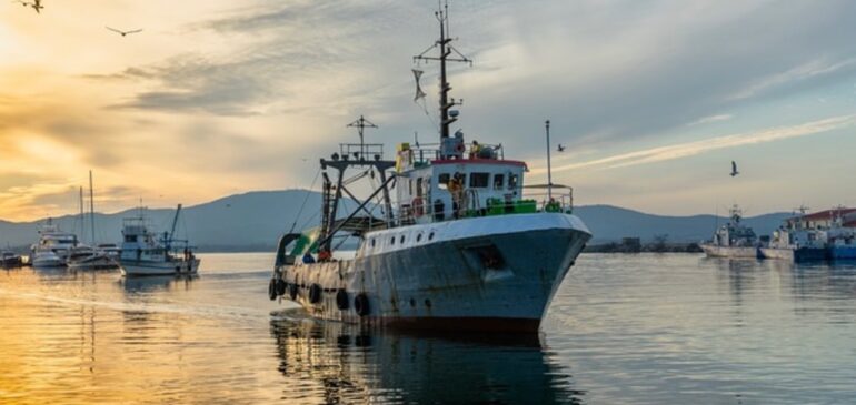 Ahora es posible exportar atunes directamente desde los buques pesqueros al país de destino