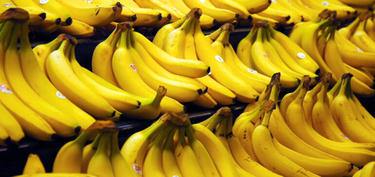 Un panorama sobre el comercio mundial de banano en 2021